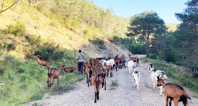 Foto de Biela y Tierra
