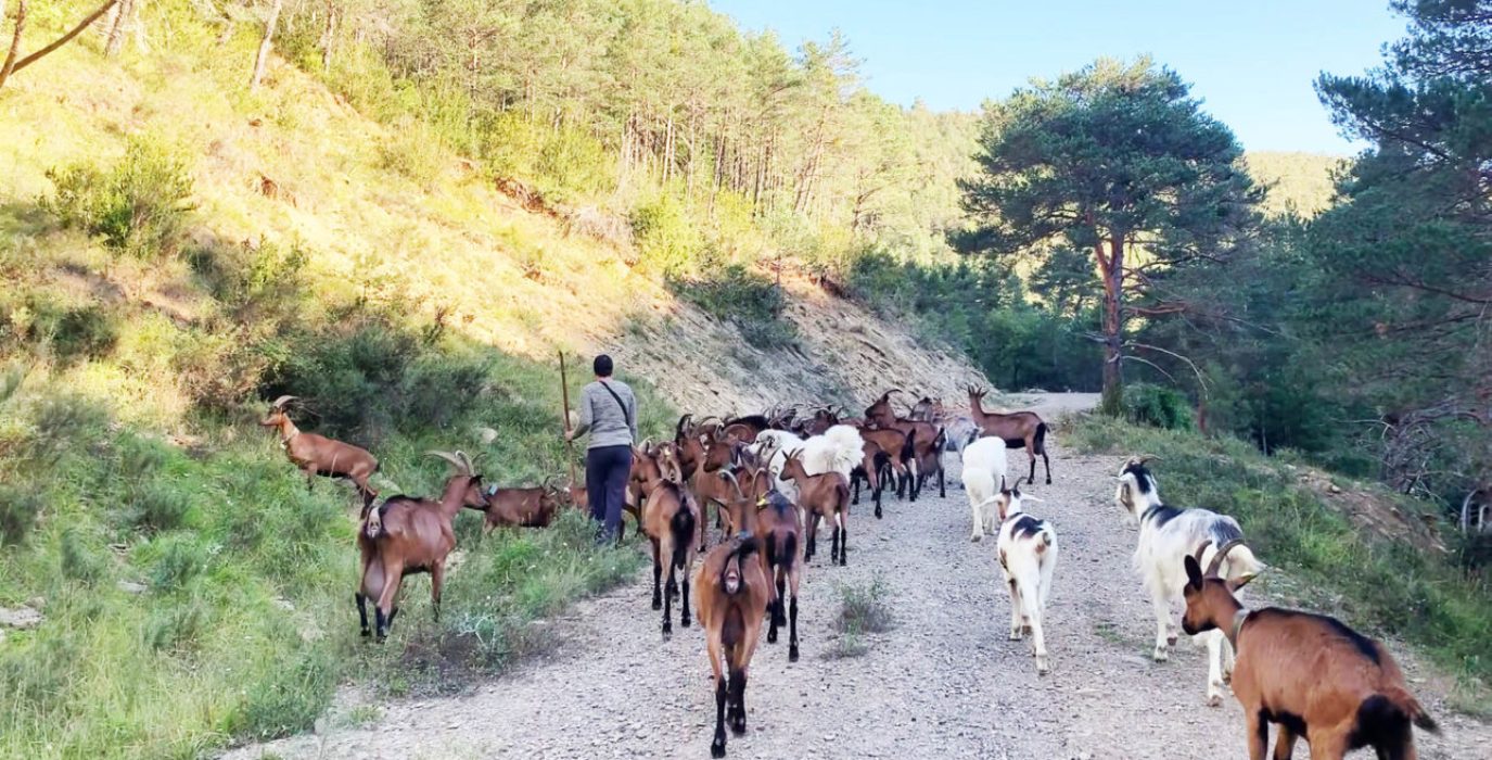 Foto de Biela y Tierra