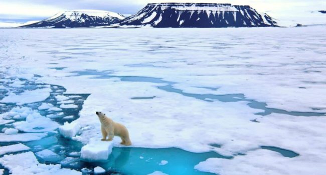 El derretimiento de grandes capas de hielo continuó durante 2023, uno de los años más cálidos jamás registrados en la región ártica. El aumento de la temperatura en aire, mar y tierra evidencia el cambio en el clima que afecta la vida humana, animal y vegetal | Footo: Sepp Friedhuber / Ecowatch