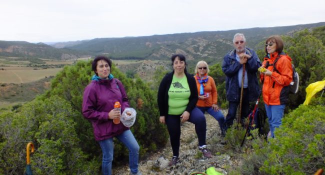Foto: Asociación Huerva Vivo