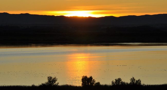 Atardecer sobre la Laguna de Sarinyena | Foto: DGA