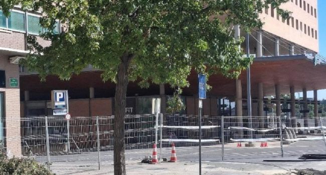 Ayuntamiento de Uesca “Cada colada, más puerca” Plataforma Árboles Vivos Huesca