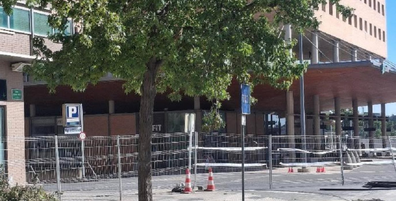 Ayuntamiento de Uesca “Cada colada, más puerca” Plataforma Árboles Vivos Huesca