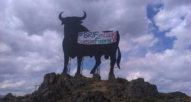 Foto: @brifpuertopico