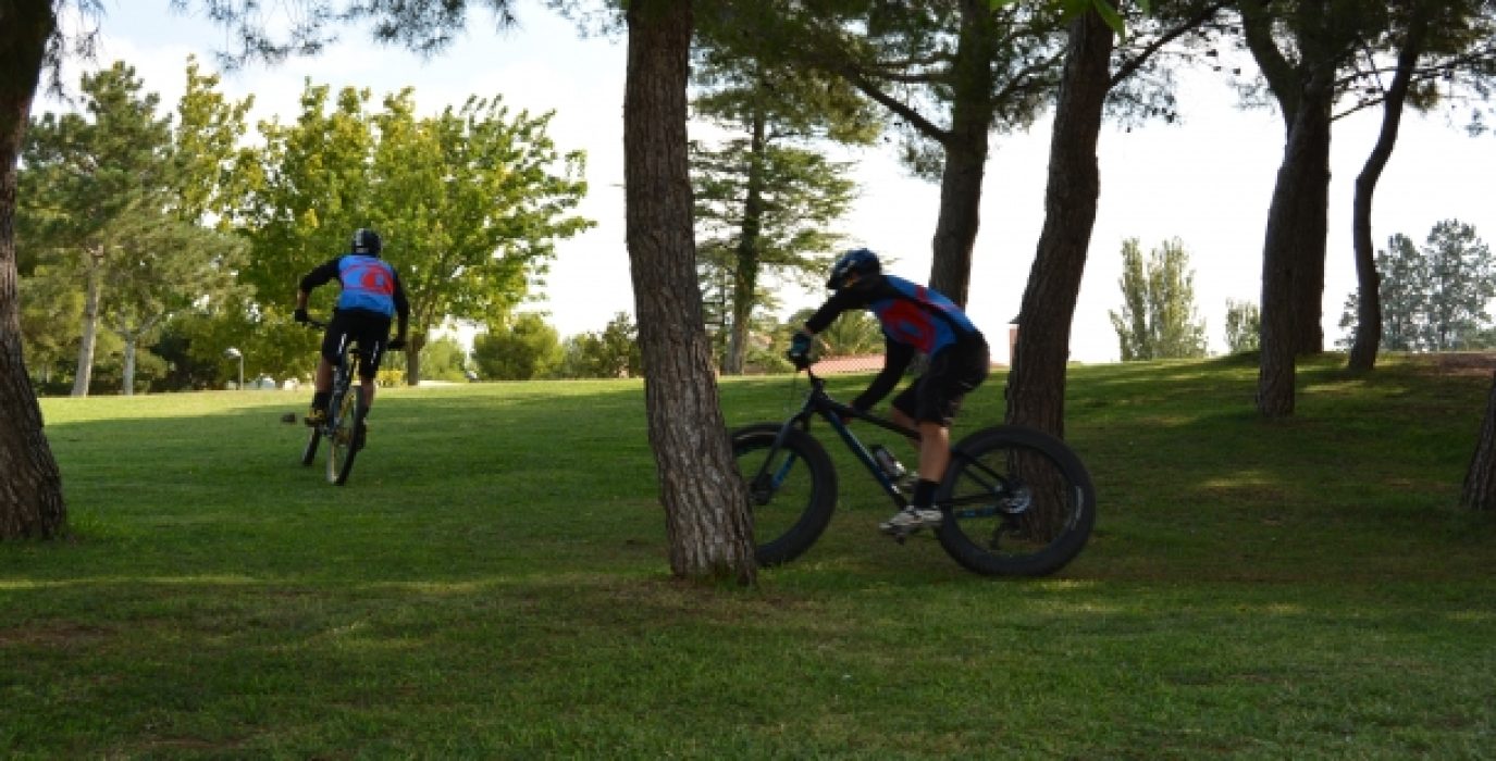 BTT