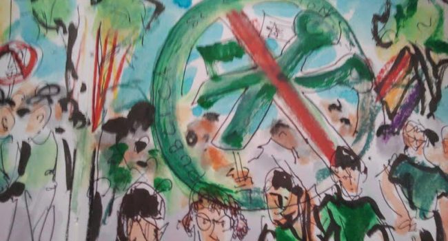 Foto: Escuela pública bajo/baix cinca