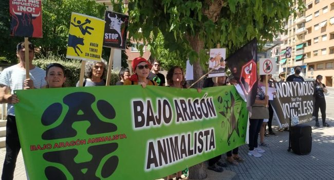 Foto: Bajo Aragón Animalista