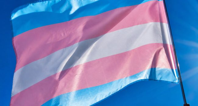 Bandera trans | Foto: Pexels