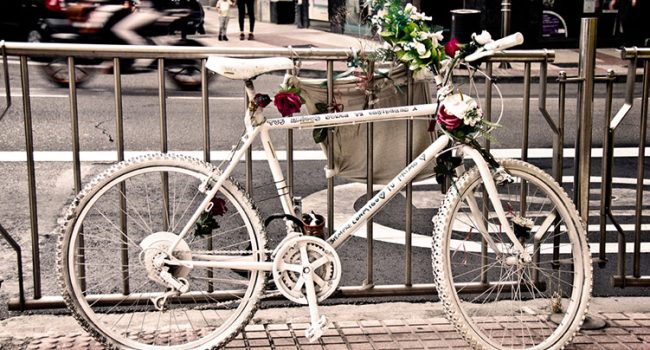 Bicicleta blanca en recuerdo del joven ciclista fallecido en 2016.

Primer Premio del III Concurso de fotografía de la AV San José (año 2016). "Flores para el recuerdo" Arco.