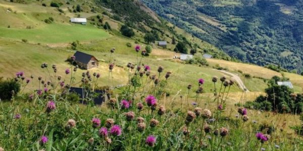 Bordas en Sant Chuan de Plan. Foto Dina Spencer (Unsplash)