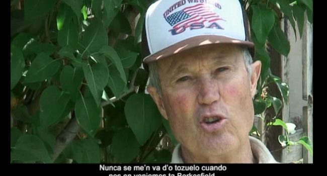 Borreguero con gorra USA.