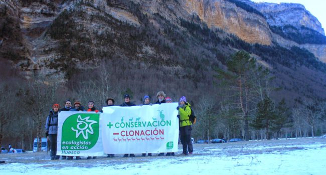 Acto de Ecologistas en Acción en el P.N de Ordesa y Monte Perdido contra la clonación del Bucardo (4 de enero de 2015). Al fondo la ladera donde se encontró muerta la última bucarda.