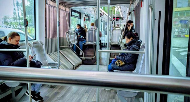 Autobús urbano de Zaragoza | Foto: Dora Díaz / AraInfo