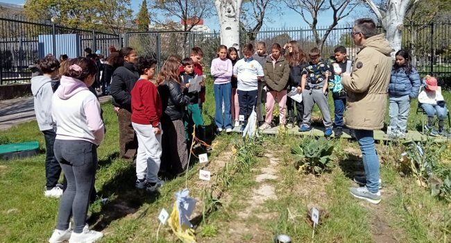 CEIP Río Ebro | Foto: RHEAZ