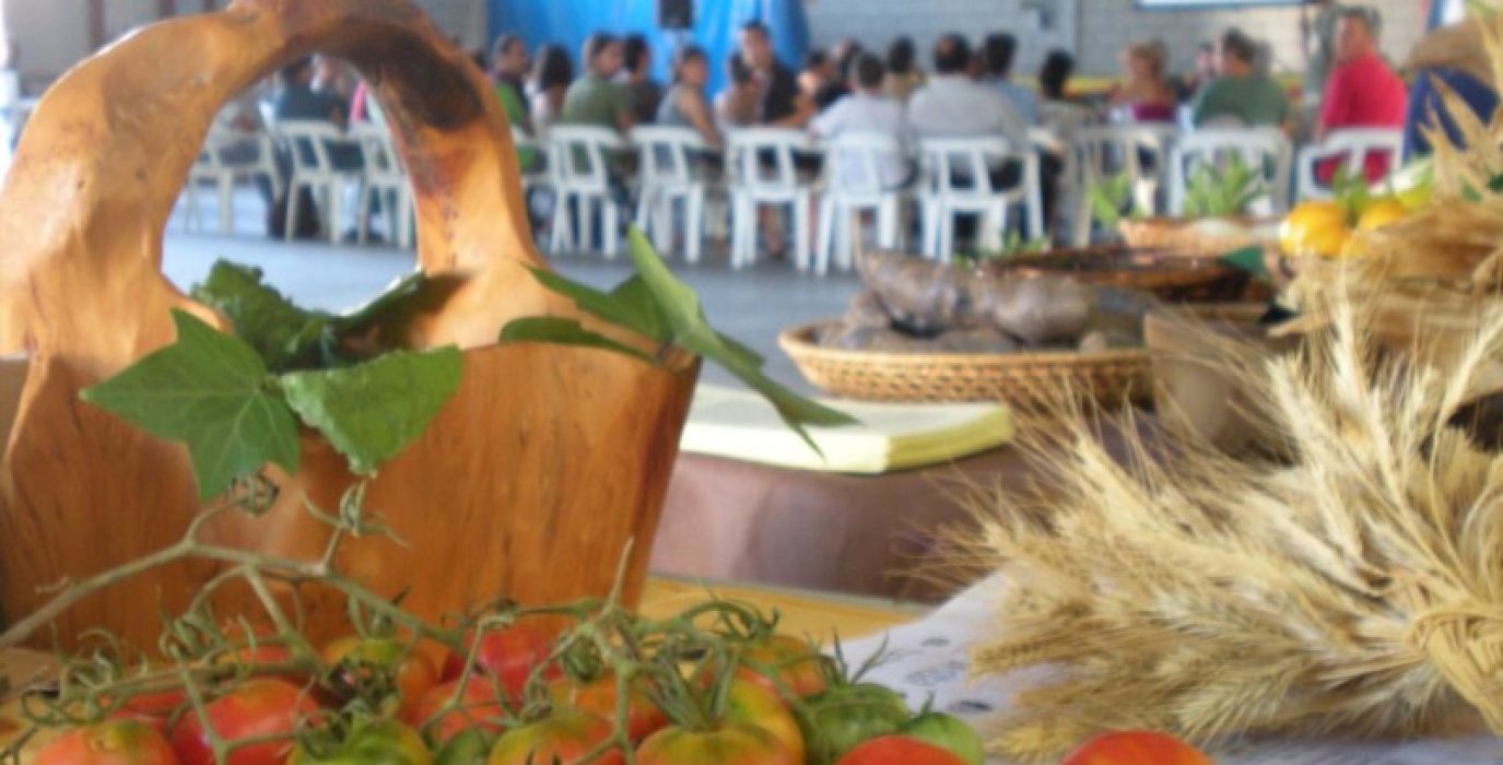 Muestra de tomate ecológico. Foto: AraInfo.
