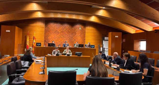 Jesús Carlos Laiglesia y Pablo Escanero, en la comparecencia en las Cortes | Foto: CERMI Aragón