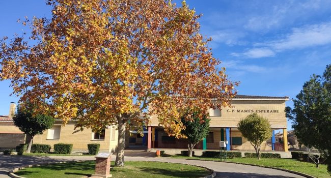 CHA apoya a las familias del Colegio Mamés Esperabé y denuncia “la falta de auxiliares de educación especial y fisioterapeuta”