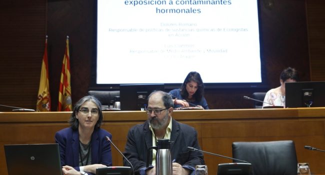 Representantes de las organizaciones durante su comparecencia. Foto: Cortes