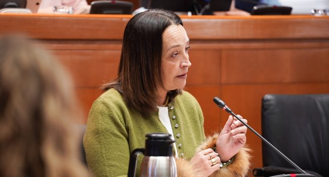 (Archivo) La consejera de Educación, Ciencia y Universidades de la DGA con la coalición trumpista PP-Vox, Carmen Susín Gabarre | Foto: Gobierno de Aragón