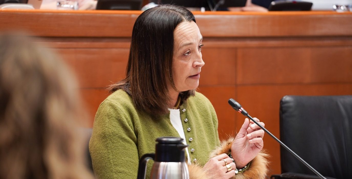 (Archivo) La consejera de Educación, Ciencia y Universidades de la DGA con la coalición trumpista PP-Vox, Carmen Susín Gabarre | Foto: Gobierno de Aragón