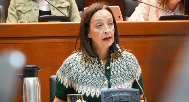 Carmen Susín, consejera de Bienestar Social de la DGA | Foto: Cortes de Aragón