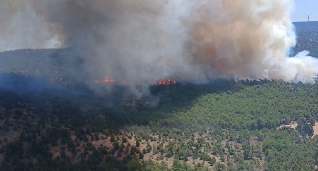 Cerca de 300 hectáreas calcinadas en el incendio forestal en Corbalán, que “evoluciona de forma favorable”
