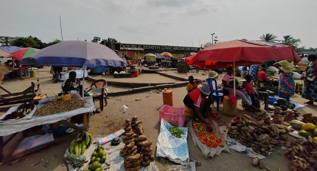 Charla en Zaragoza sobre mercados alimentarios resilientes en la República Democrática del Congo 1