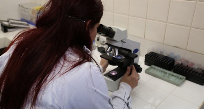 Foto: Pan American Health Organization PAHO (CC)