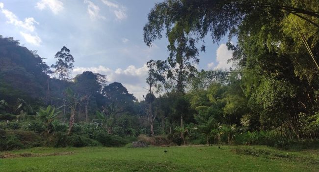 Colombia: construyendo desde lo colectivo en la bioregión del Kumanday