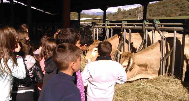 Comedor l'ainsa ecología sostenibilidad educacion