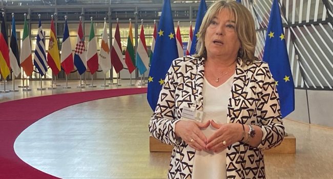 La consejera de Educación, Cultura y Deporte del Gobierno de Aragón, Tomasa Hernández, en el Consejo de ministros de Cultura de la Unión Europea celebrado el trece de mayo | Foto: DGA