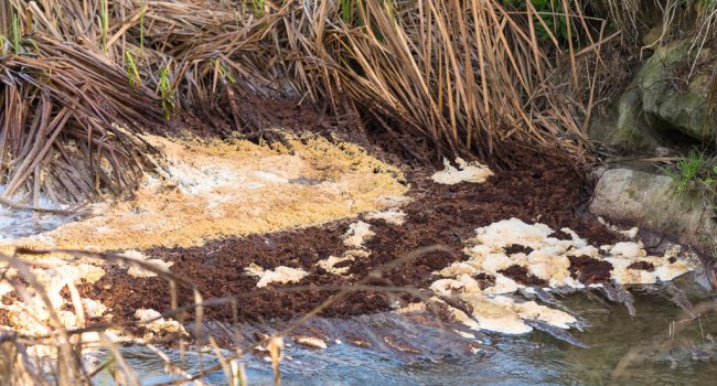 Vertidos de la industria Conva en su planta de Tamarit de Llitera | Foto: Ecologistas en Acción Cinca