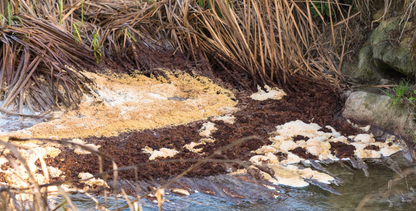 Vertidos de la industria Conva en su planta de Tamarit de Llitera | Foto: Ecologistas en Acción Cinca