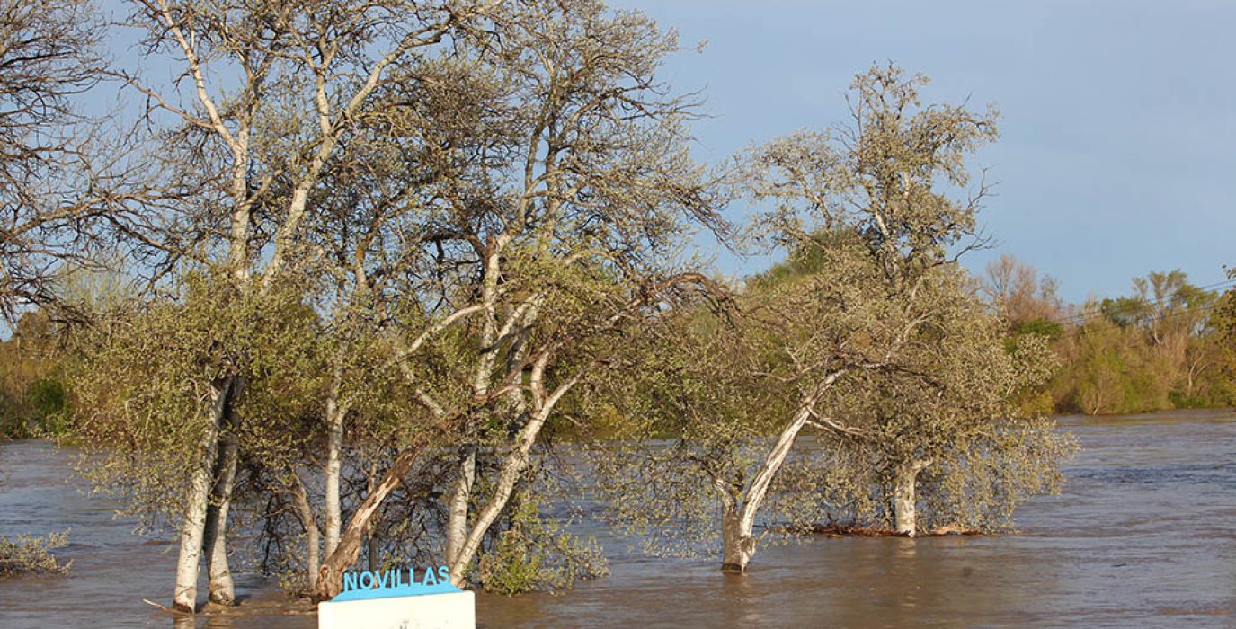 Imagen del río Ebro a su paso por Novillas. Foto: DGA