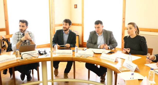 Díaz durante la primera Comisión Mixta de este 2020. Foto: DGA