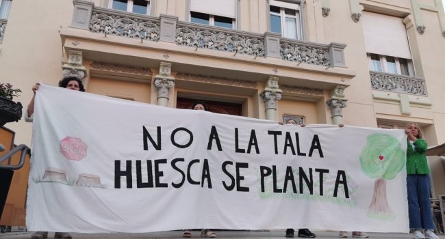 Foto: Plataforma Árboles vivos Huesca