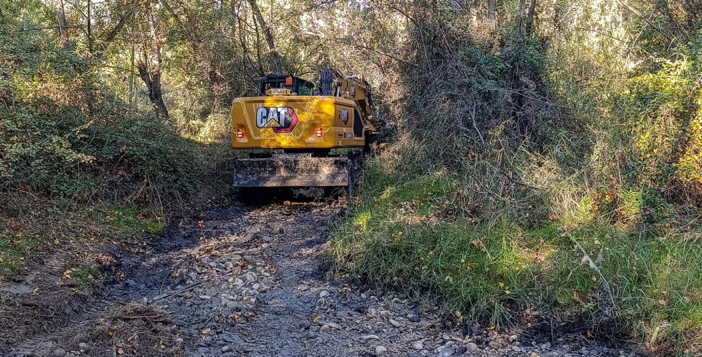 Foto: Ecologistas en Acción Aragón