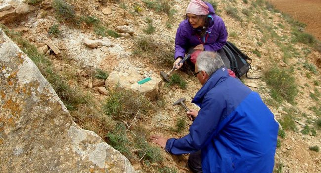 Dos investigadores recogiendo muestras del suelo