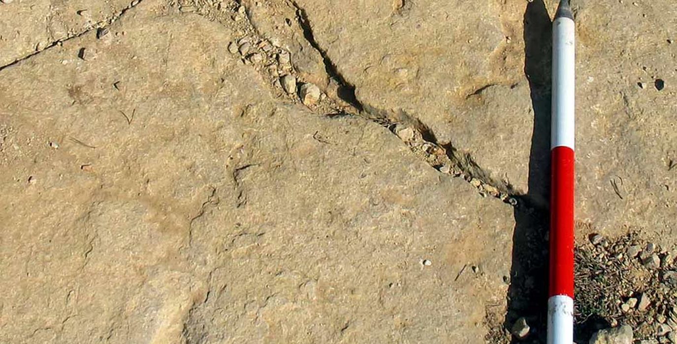 Huellas de dinosaurios carnívoros en Mosqueruela