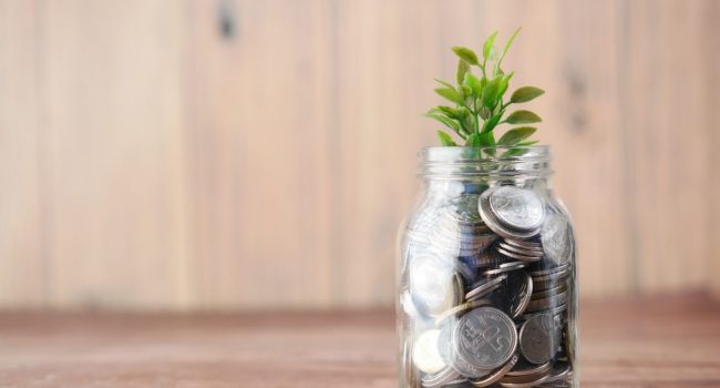 Una planta saliendo de un bote con dinero