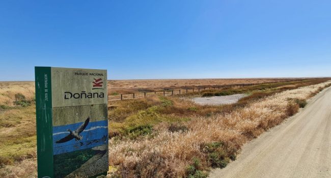 Doñana