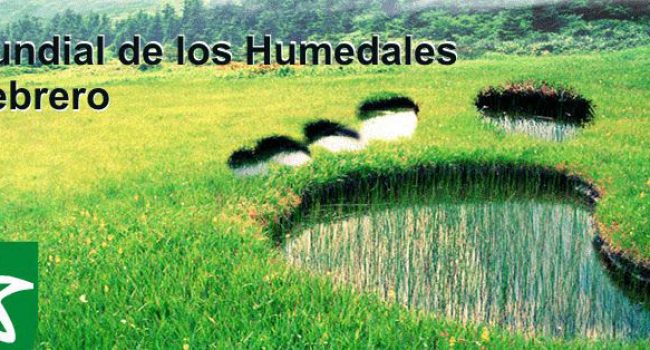 Día internacional humedales