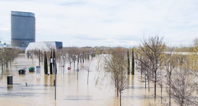 Ebro crecida Zaragoza foto Pablo Ibañez ARAINFO (2) r