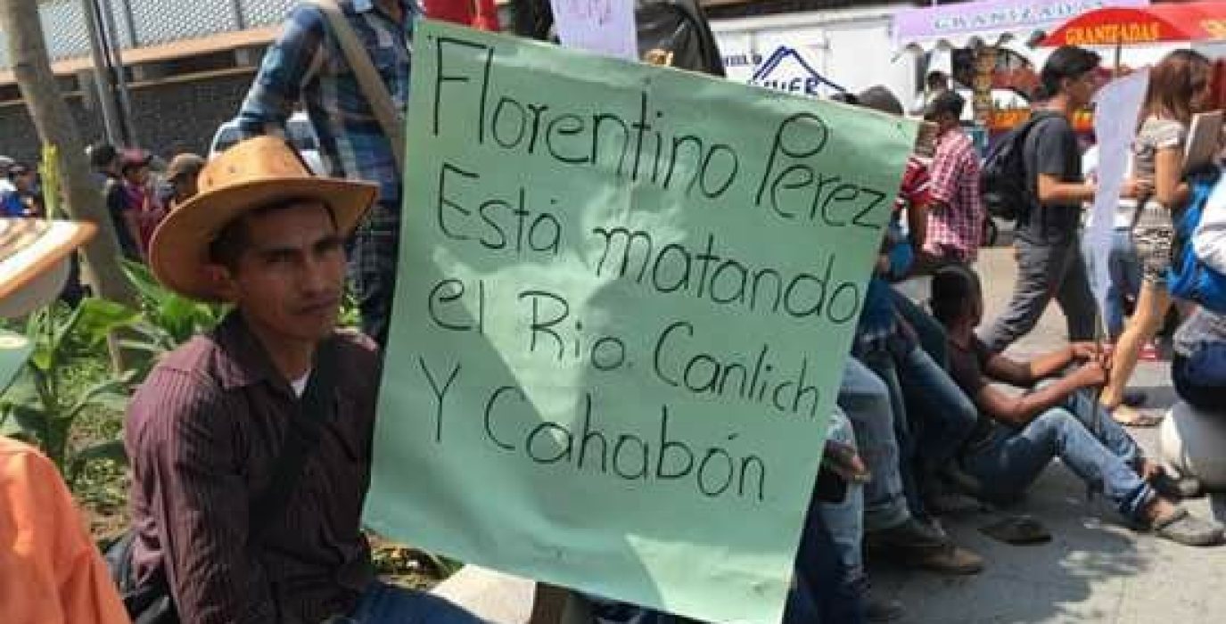 Foto: Ecologistas en Acción