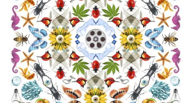 Ecozine cartel 2022