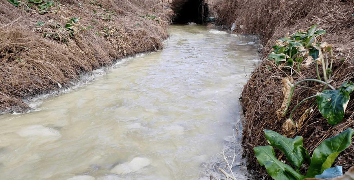 pantano más contaminado de la cuenca del Ebro