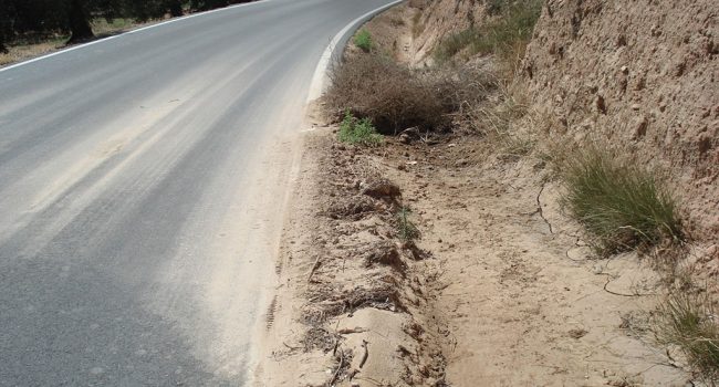 Estado de la A-133 a su paso por Estadilla. Foto: IU