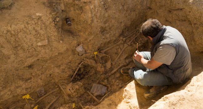 Javier Ruíz, arqueólogo con amplia experiencia, trabajando en la exhumación del cementerio de ‘Los Mártires’ de Uesca, el pasado lunes, 1 Octubre. Foto: Pablo Ibáñez.