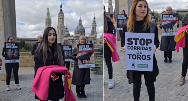 Exigen el fin de las corridas de toros en Zaragoza en plena feria de San Jorge