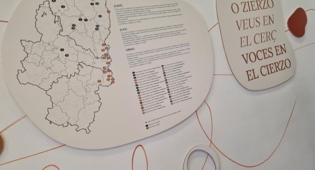 Imagen de la  exposición "Vozes en O Cierzo", que se puede visitar en el Paraninfo de Zaragoza. Foto: DGA